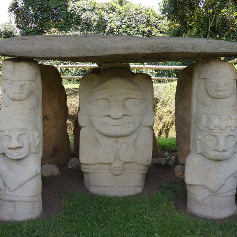 コロンビア生豆 サン・アングスチン ブルボン