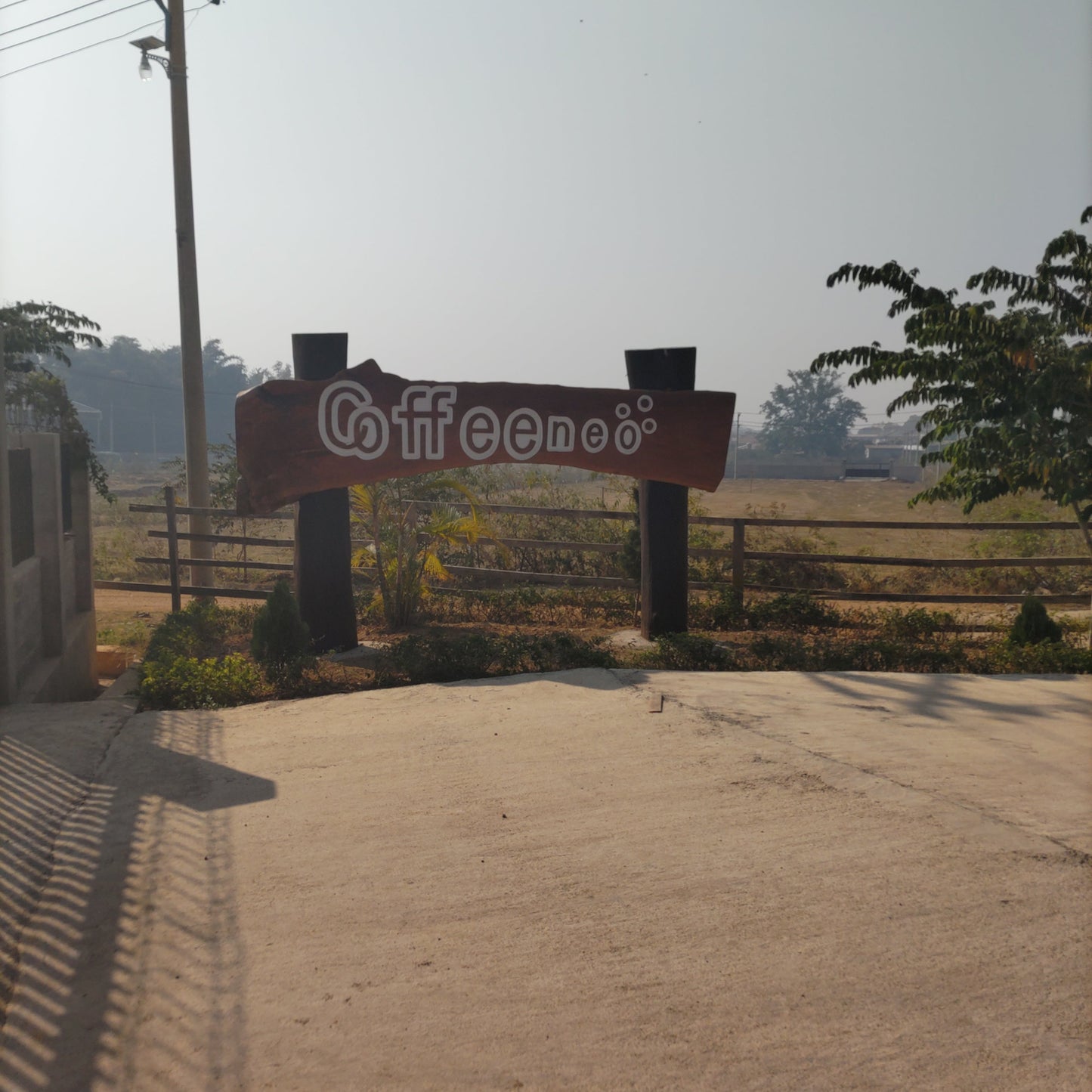 ミャンマーコーヒー豆 ナチュラル