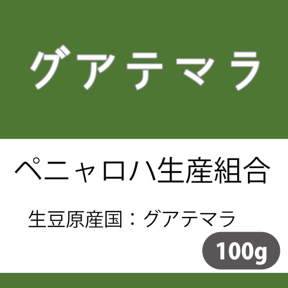 グアテマラコーヒー豆　ロハ　100g