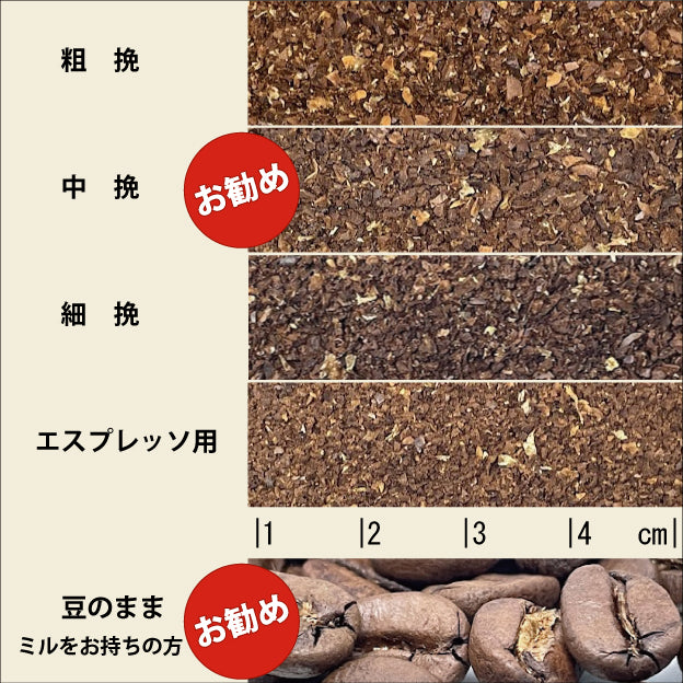 ブルーマウンテンNo.1コーヒー豆 200g |本物のブルマン100%