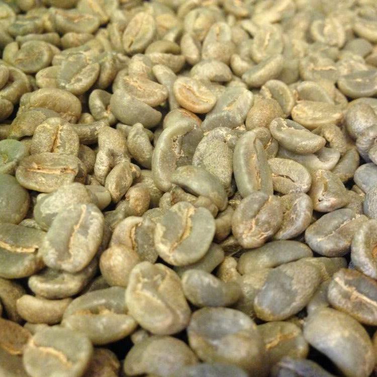 グアテマラコーヒー豆 ロハ 生豆1000g 浅煎向 初心者向