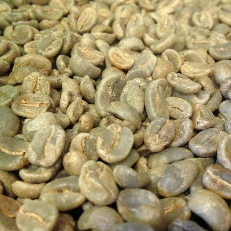 グアテマラコーヒー豆 ロハ 生豆200g 浅煎向 初心者向