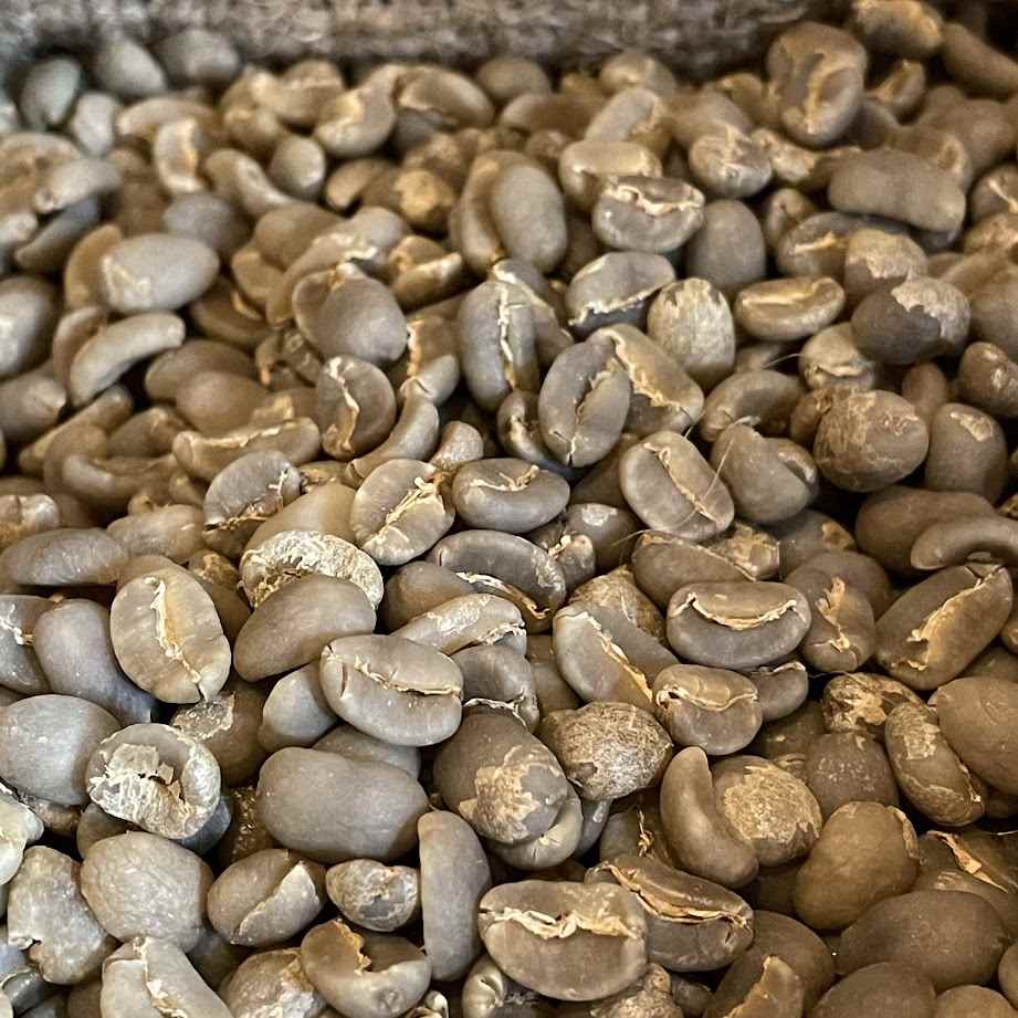 マンデリンコーヒー豆　トバコ　生豆200g　深煎向　コク強　個性的　香ばしい