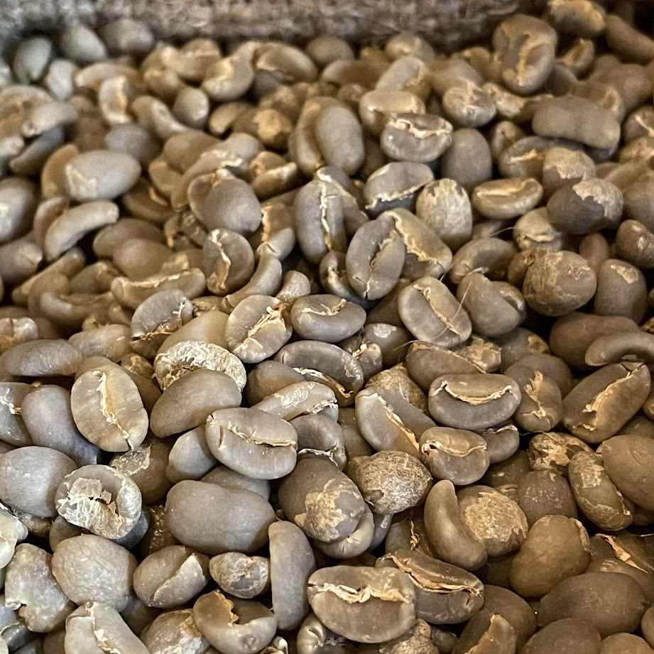 マンデリンコーヒー豆 トバコ 生豆200g 深煎向 コク強 個性的 香ばしい