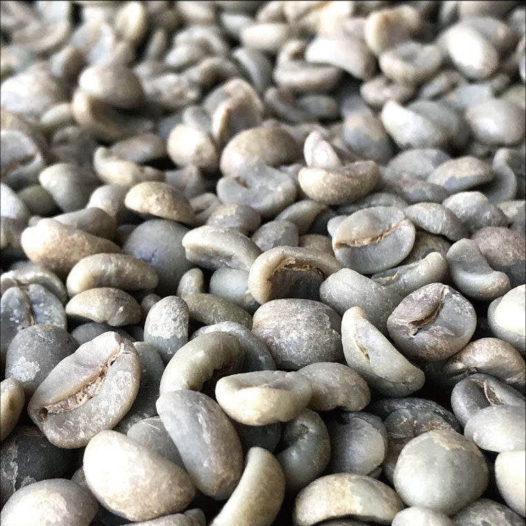 ブラジルコーヒー生豆 パッセイオ農園 生豆1000g 深煎向 香ばしい 初心者向