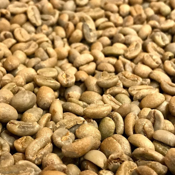 モカコーヒー豆　ナチュラル　生豆200g　浅煎向　個性的　フルーティ