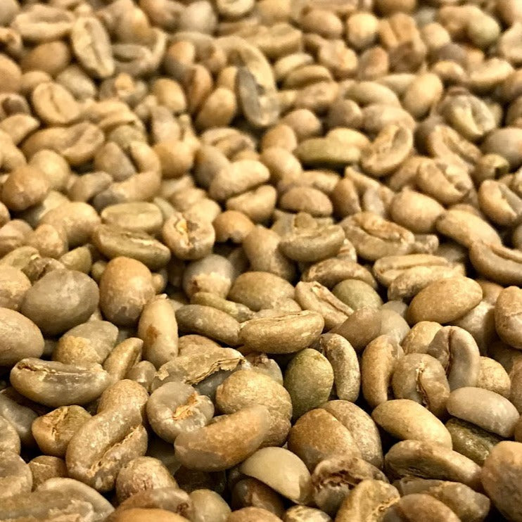 モカコーヒー豆　ナチュラル　生豆1000g　浅煎向　個性的　フルーティ