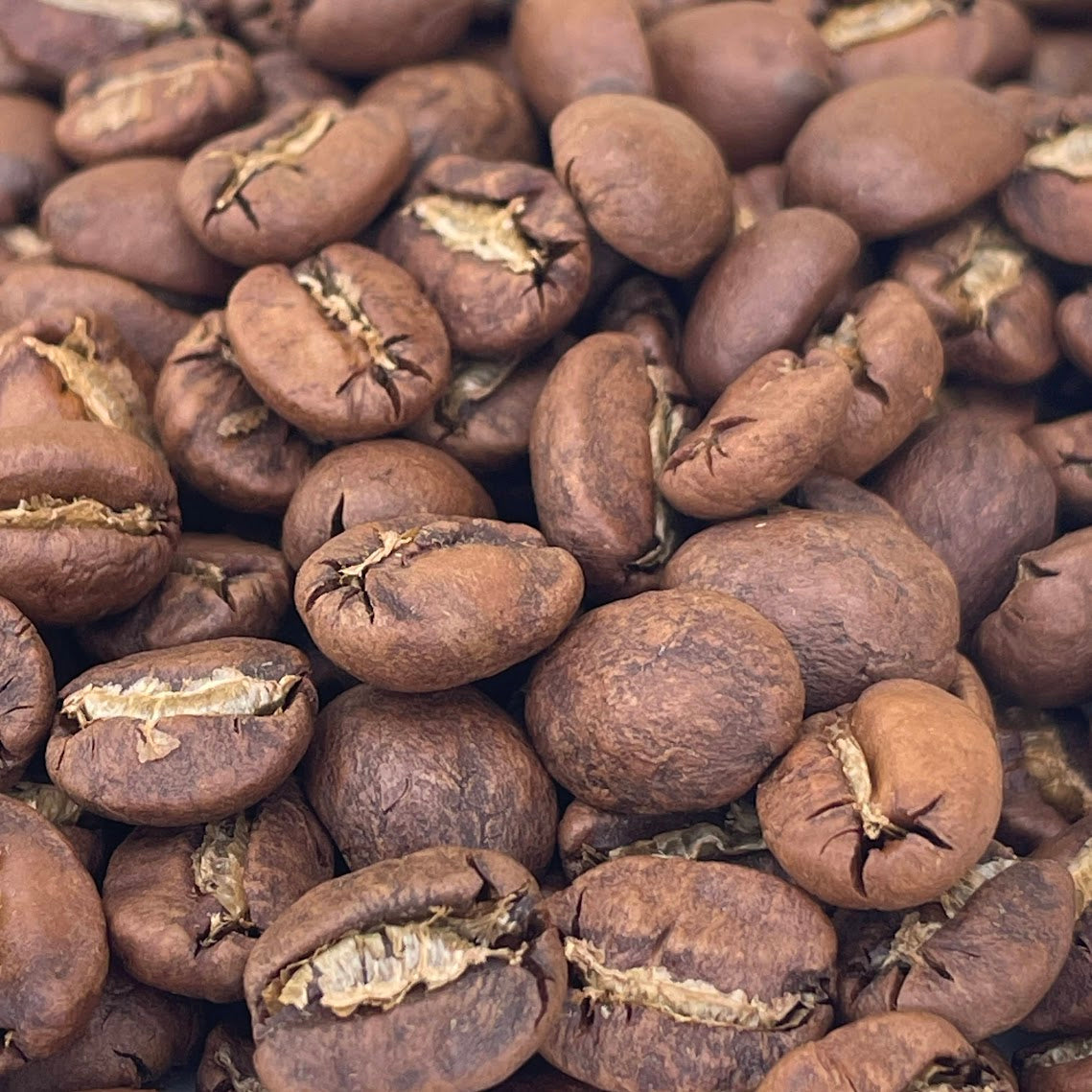 タイコーヒー豆　ブルーコフ