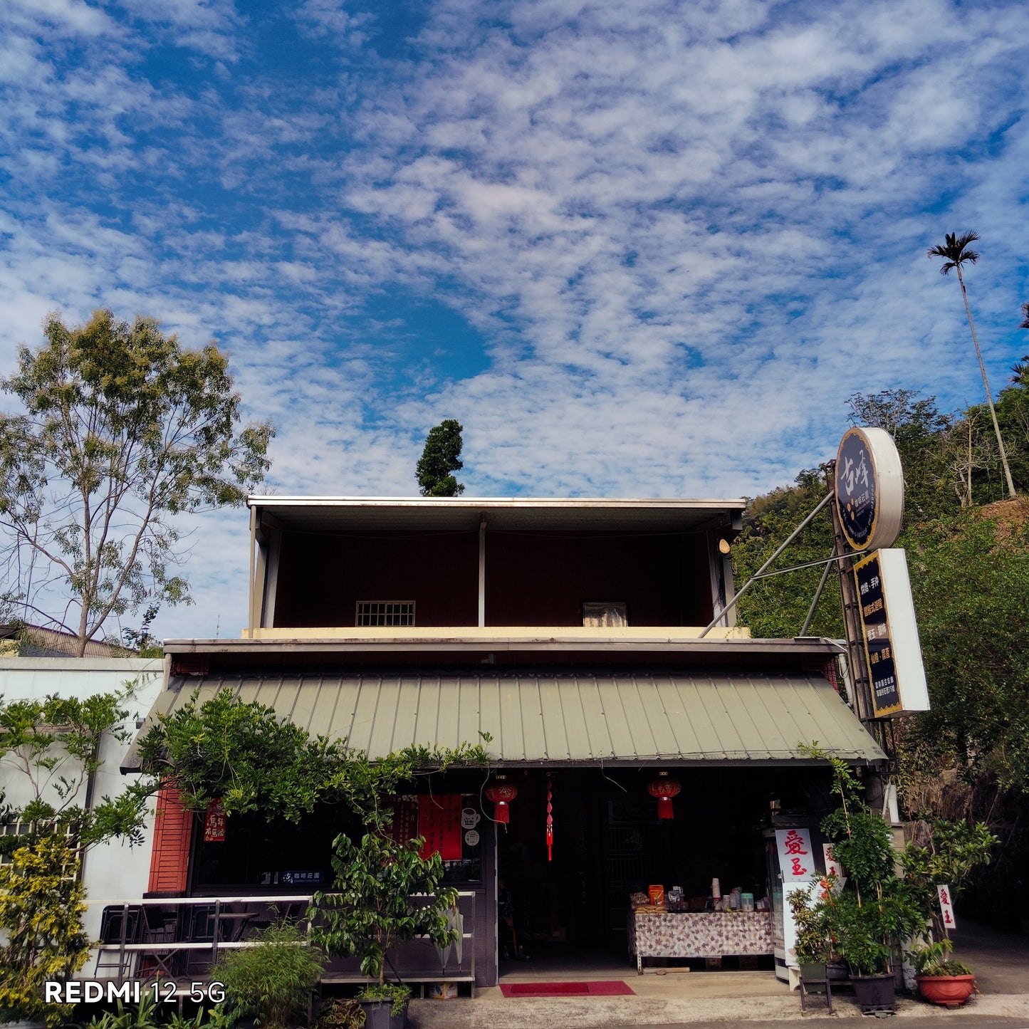 台湾コーヒー豆　古峰咖啡荘園　ゲイシャ