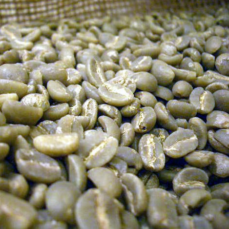 タンザニアコーヒー豆　モンデュール農園　生豆200g　浅煎向　店長好み　コク強
